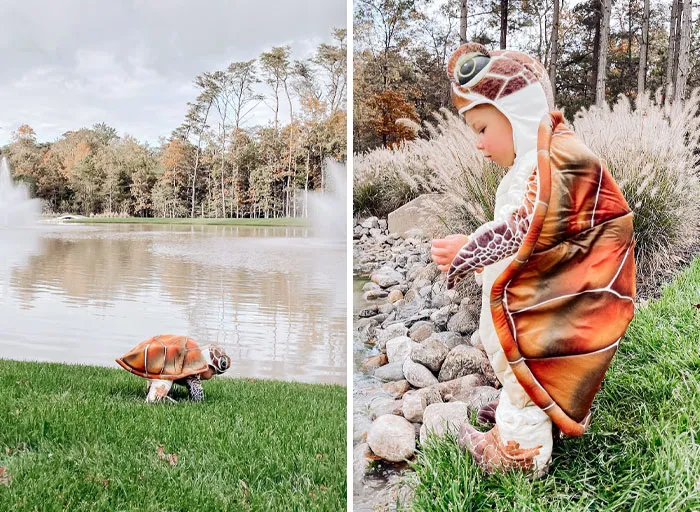 The Cutest Turtle I Ever Seen