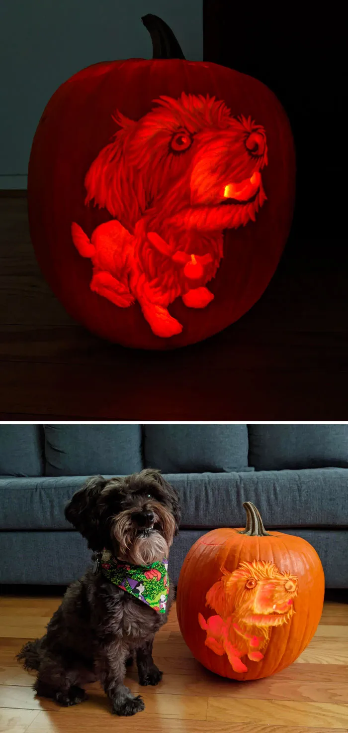 My Pumpkin This Year