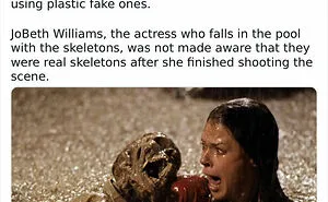 ‘Creepy Knowledge’: 45 Facts To Scroll Through In The Darkness
