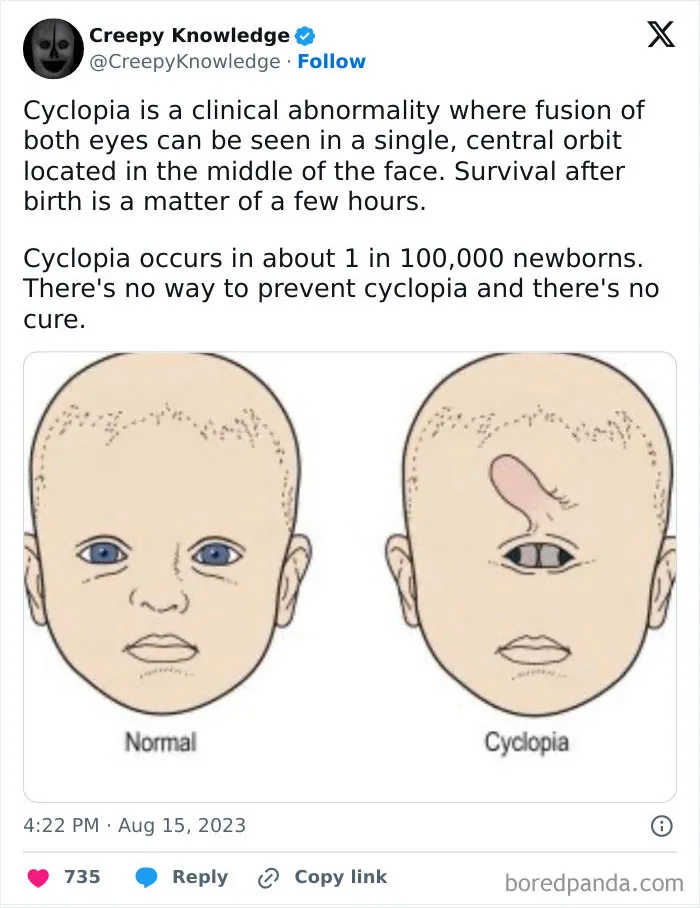 Creepy-Knowledge-Facts-Twitter
