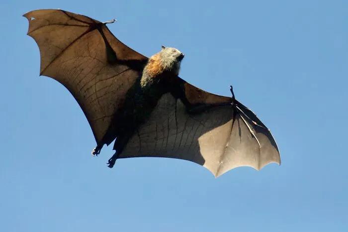 96 Dark Riddles That Are Deliciously Spooky