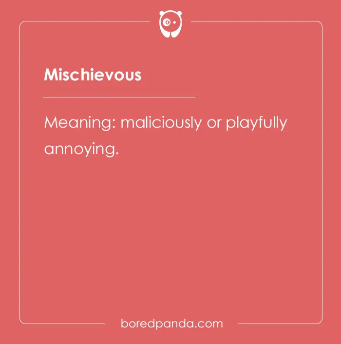 116 Difficult Words For The Linguist In You