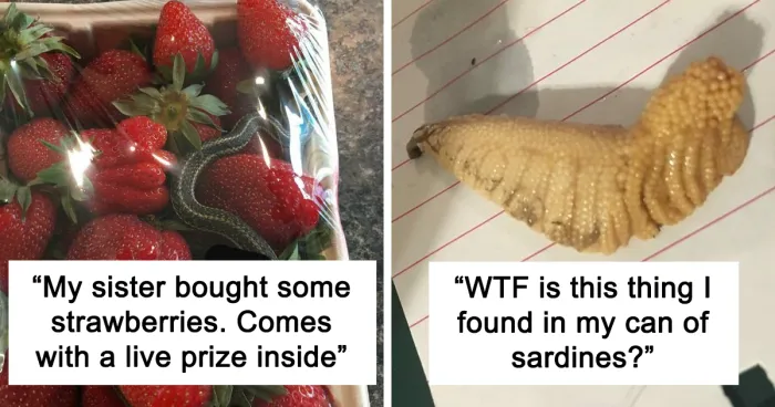 30 People Who Are Having An Awful Day When It Comes To Food