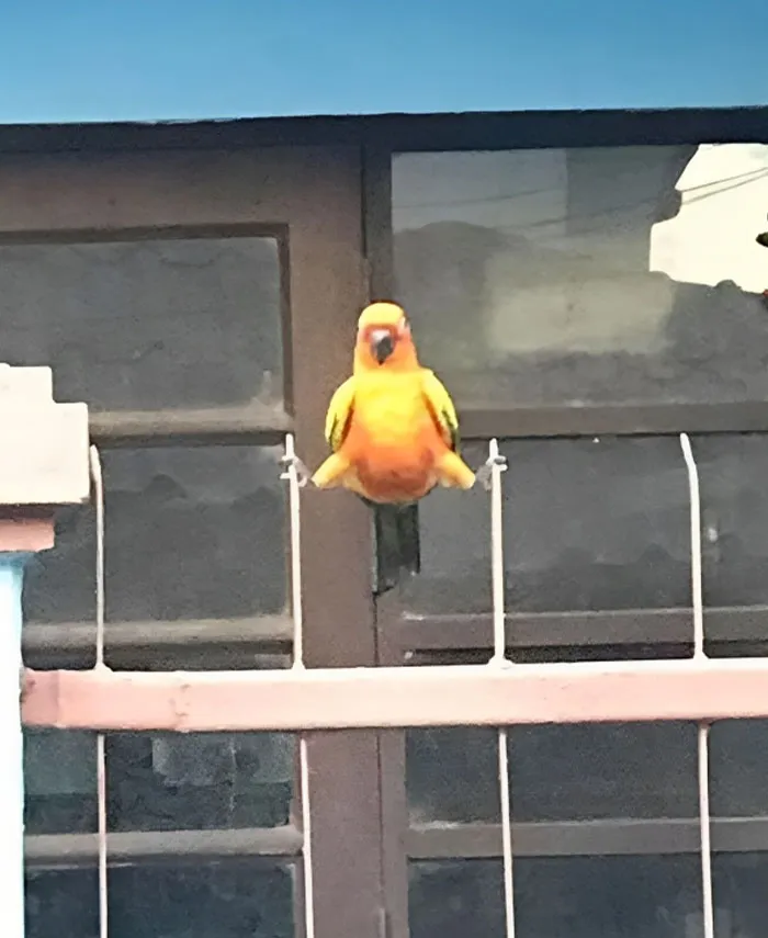 50 Unexplainable Cursed Images Shared On This Instagram Account