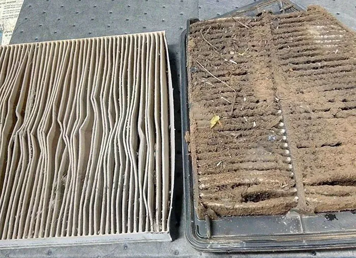 Customer: "I Don't Know Why My Car Has No Power"