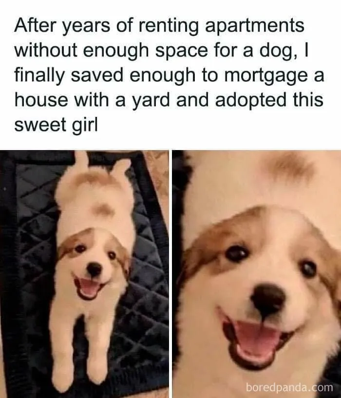 These 45 Pics Were Supposed To Be Wholesome, But Actually Show How Messed Up Our Society Is (New Pics)