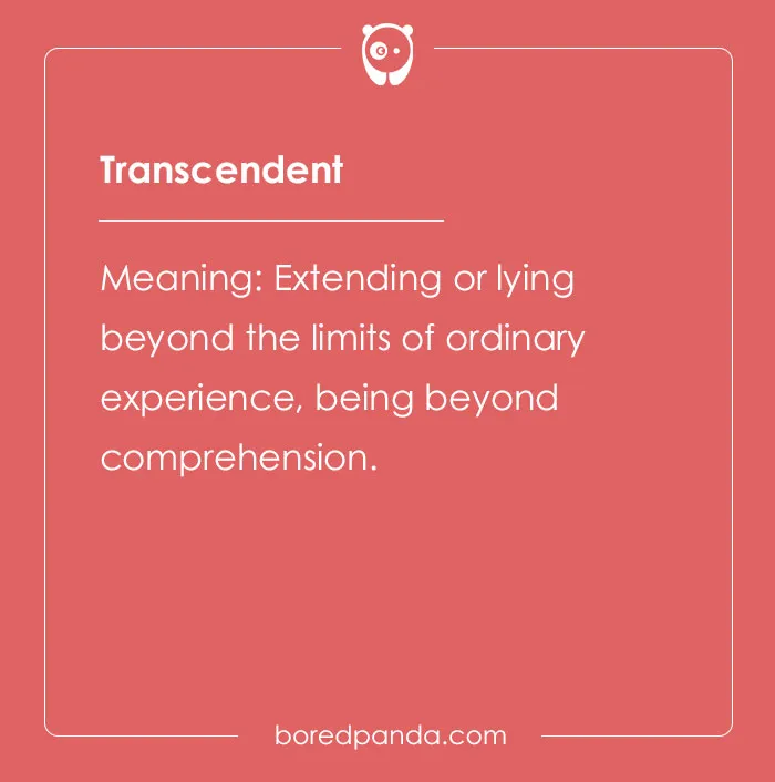 139 Fancy Words That Will Enhance Your Vocabulary If Used Appropriately