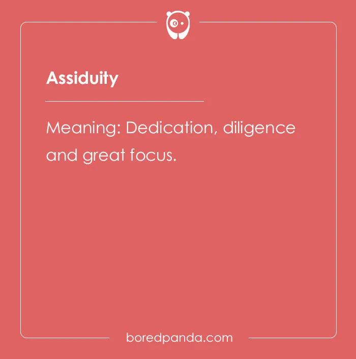 139 Fancy Words That Will Enhance Your Vocabulary If Used Appropriately