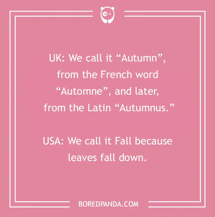 138 Fall Jokes To Make You Fall About Laughing