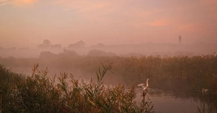 Dreamy Autumn Morning Walk With Fog (17 Pics)