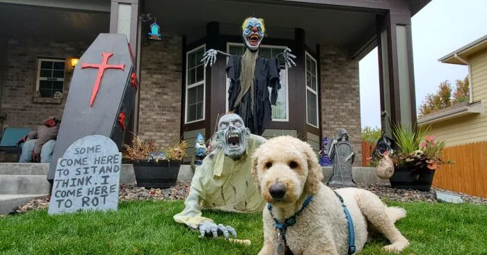 Our Dog Poses With Neighbors' Halloween Decorations (14 Pics)