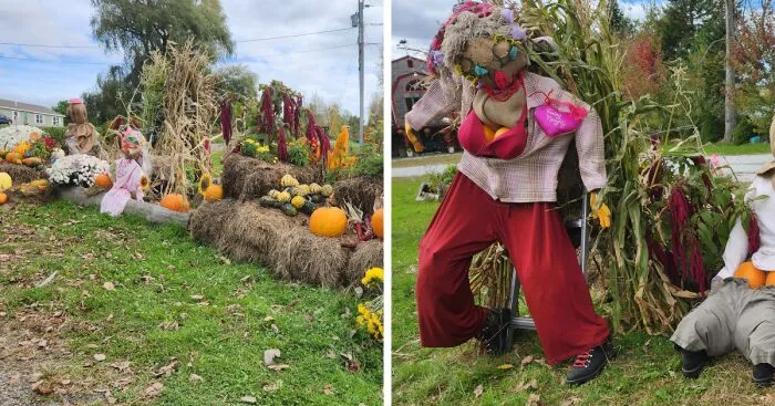 I Captured Our Festive Neighbor's Decorations For Halloween