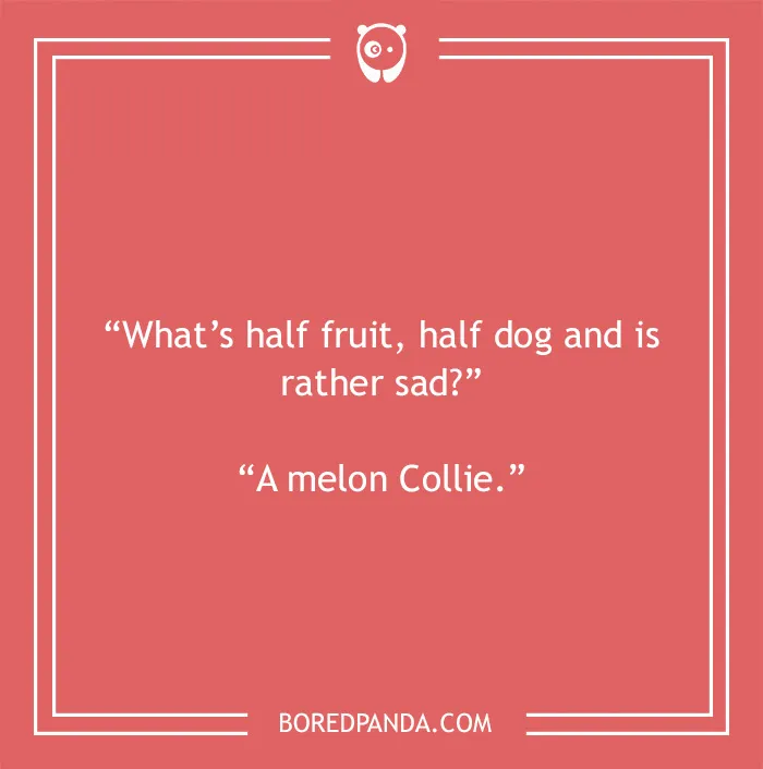 Fruit joke about melon Collie