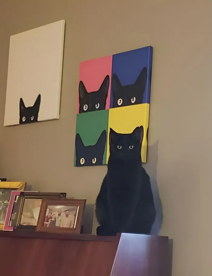 A Cat That Plays Too Many Stealth Games
