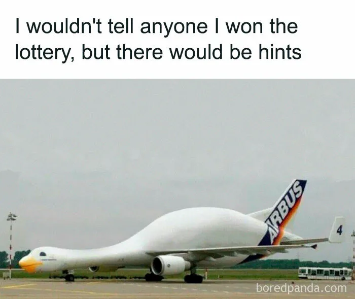 50 Chucklesome Memes That Make The Perfect Blend Of Animals And Comedy