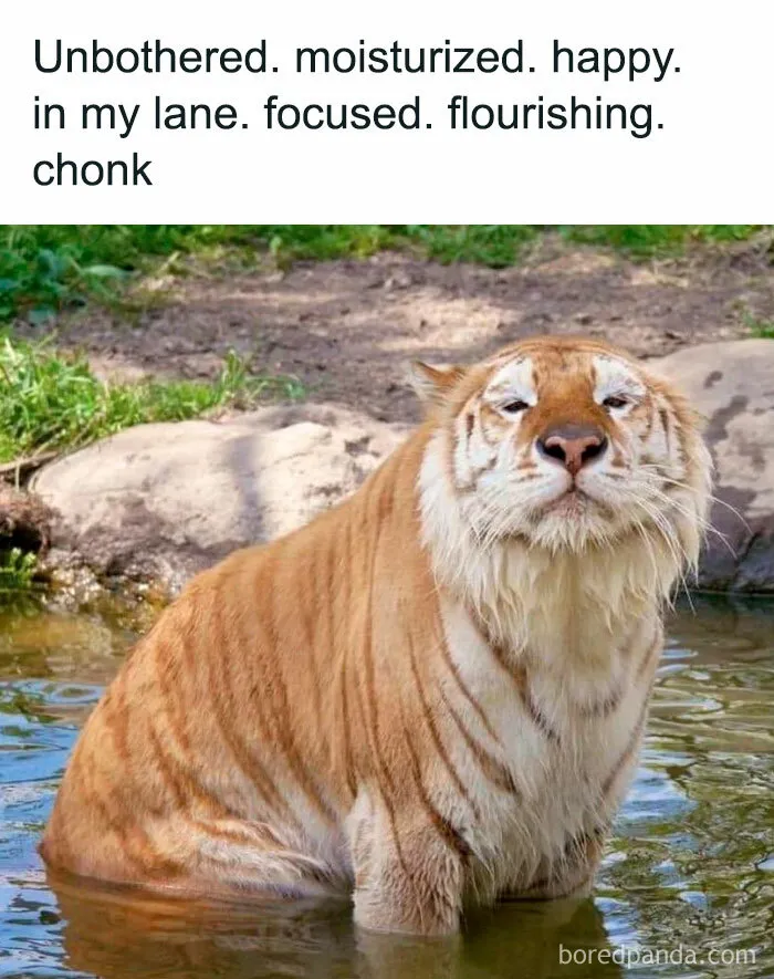 50 Chucklesome Memes That Make The Perfect Blend Of Animals And Comedy