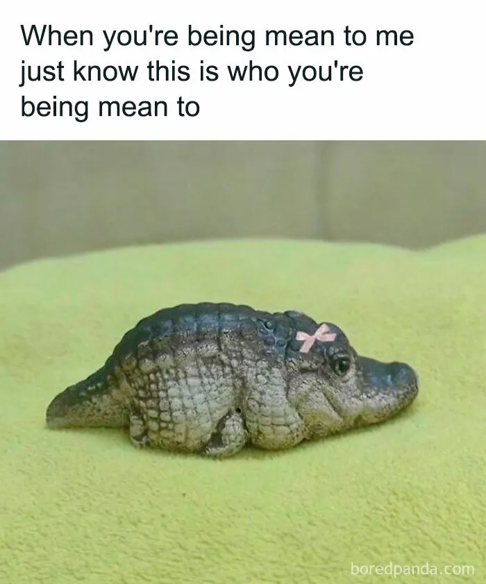 50 Chucklesome Memes That Make The Perfect Blend Of Animals And Comedy