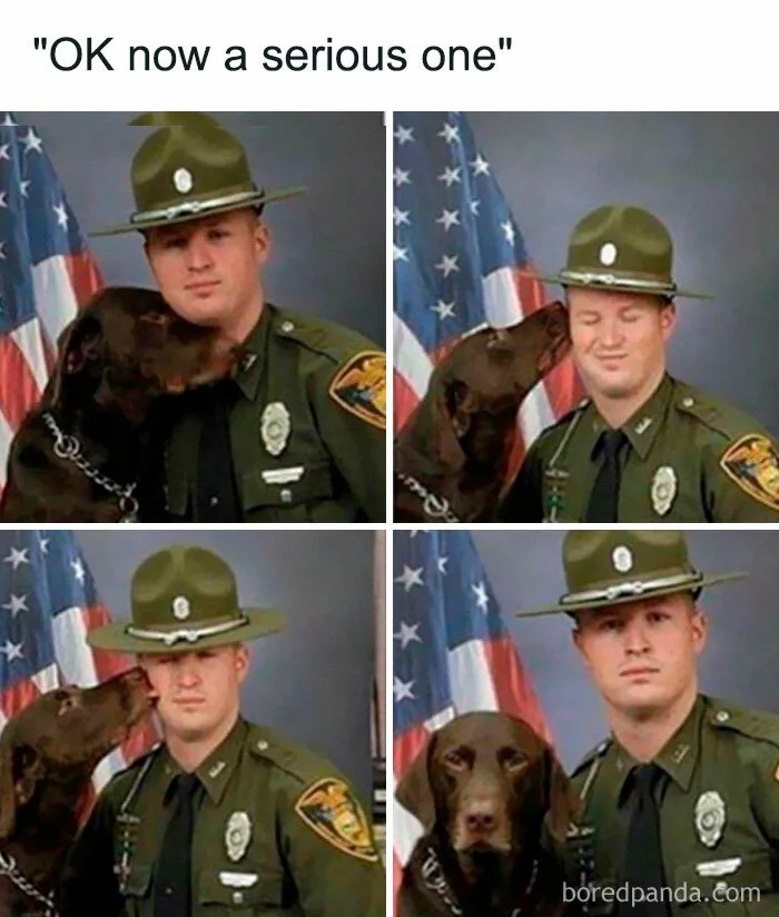 50 Chucklesome Memes That Make The Perfect Blend Of Animals And Comedy