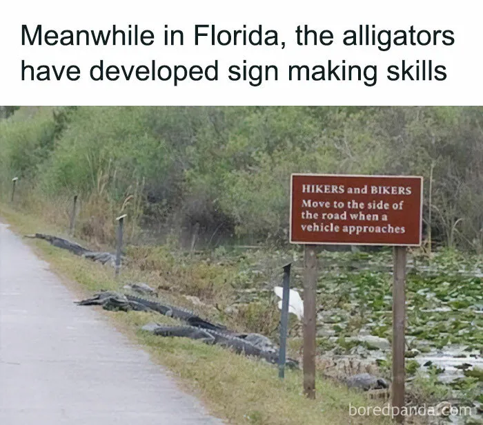 50 Chucklesome Memes That Make The Perfect Blend Of Animals And Comedy