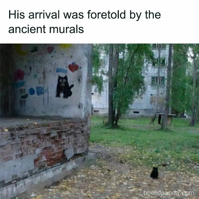 50 Chucklesome Memes That Make The Perfect Blend Of Animals And Comedy