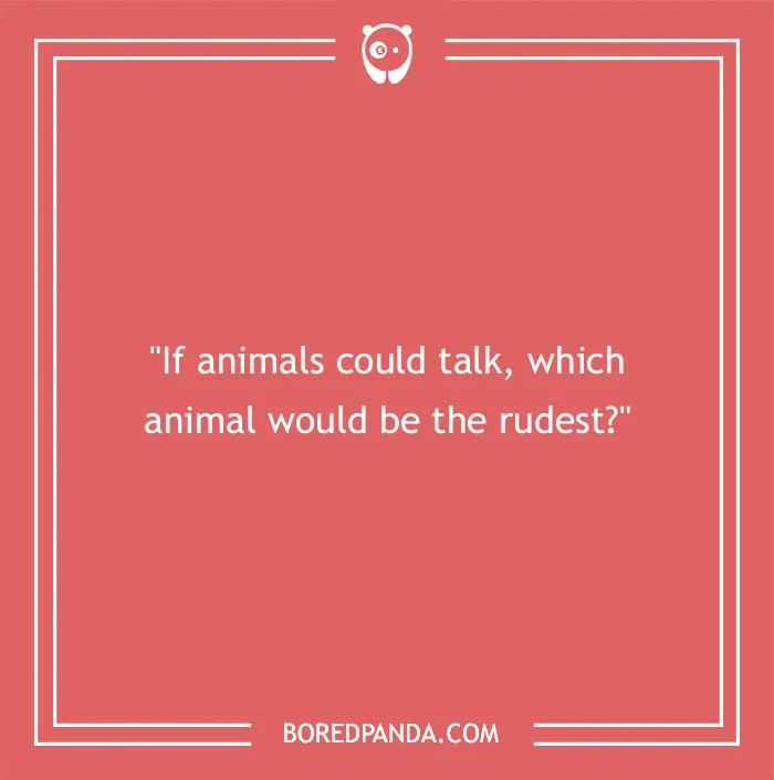 50 Funny Conversation Starters To Break The Ice Smoothly