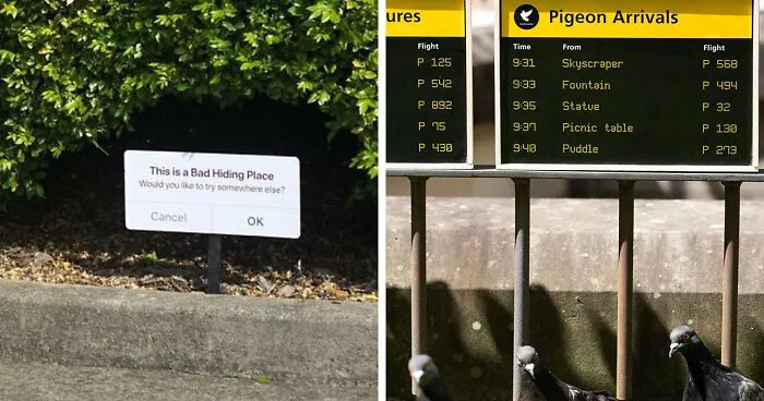 Artist Places Funny Signs In His City And They Look Like Art Installations (28 New Pics)