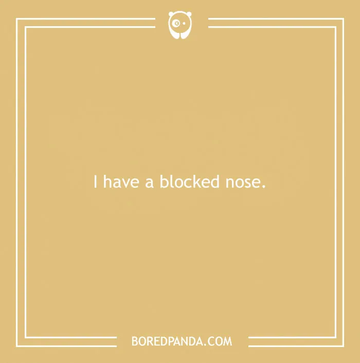Far-fetched funny excuses for calling in sick shown with a simple phrase about having a blocked nose.