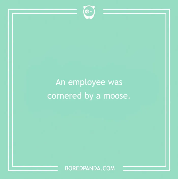 Funny excuses people used trying to pull a sickie with far-fetched reasons like being cornered by a moose.