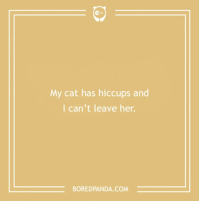 Funny excuse text image showing a far-fetched reason about a cat with hiccups for trying to pull a sickie.