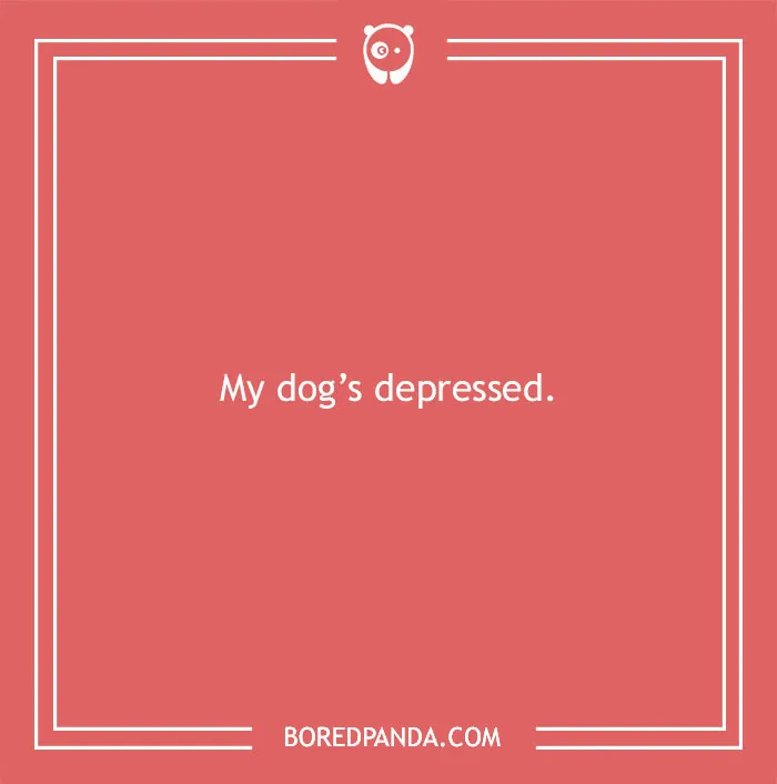 Guess Who’s Having A Ruff Day