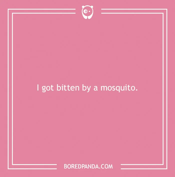 Far-fetched funny excuse saying I got bitten by a mosquito as a sickie excuse on pink background.