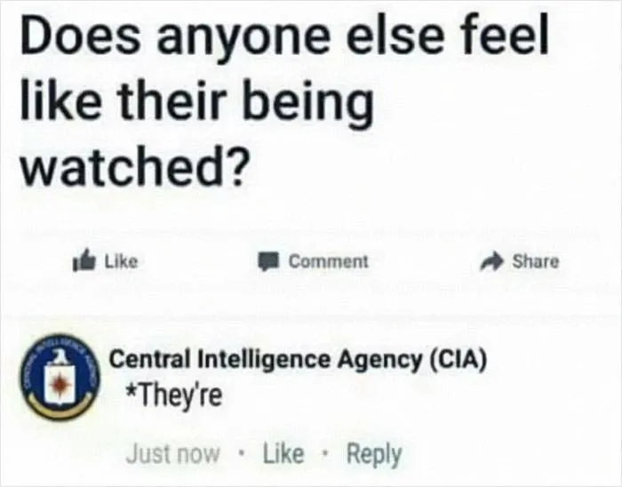 Funny-Language-Errors-Posts-Puns