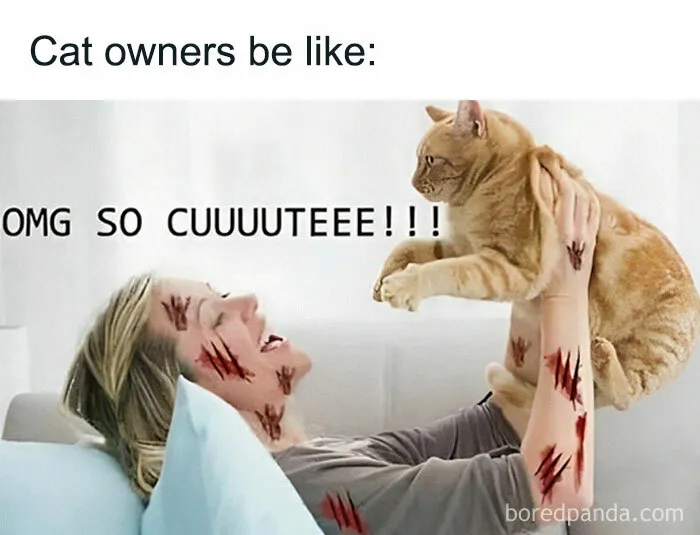 50 Spot On Memes That Hit A Little Too Close To Home To Many