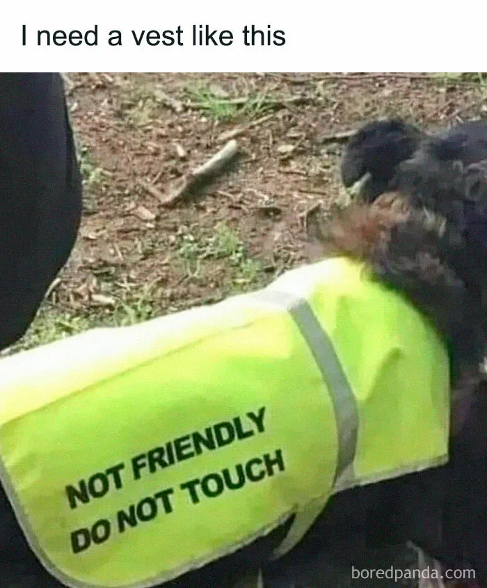 50 Spot On Memes That Hit A Little Too Close To Home To Many