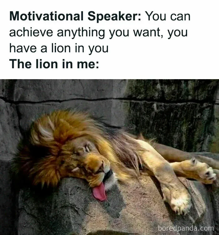 50 Spot On Memes That Hit A Little Too Close To Home To Many