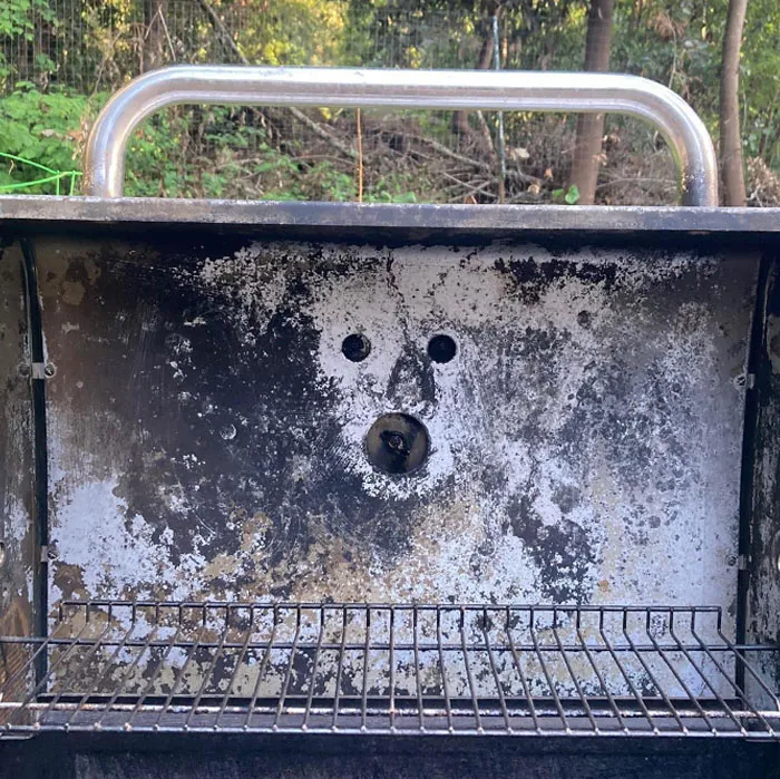 Puppy At The Barbeque
