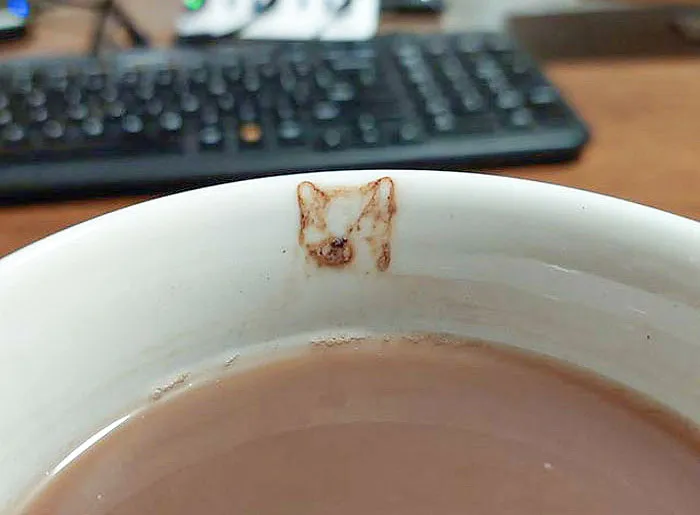 The Imprint Of My Spoon Handle Looks Like A Cat