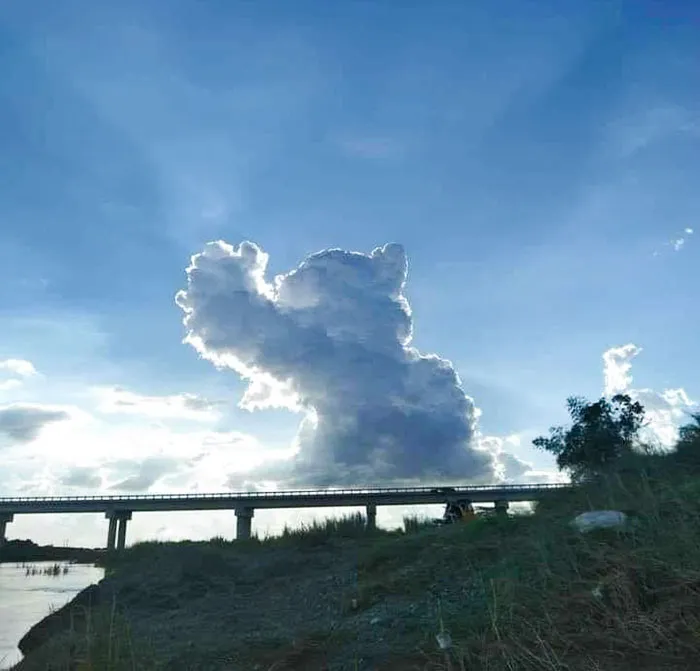 A Cat Reaching For The Sky