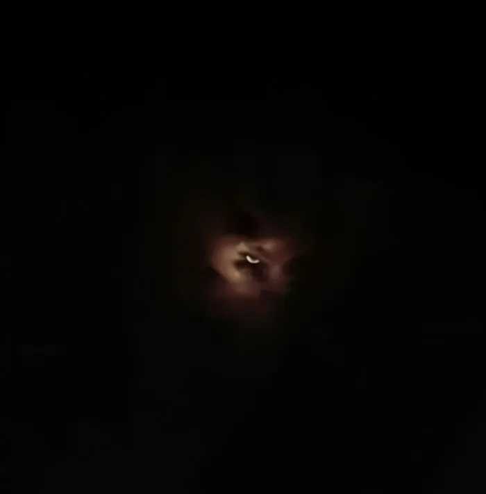 I Looked Up At The Moon And Felt As If The Moon Was Looking Back Down At Me