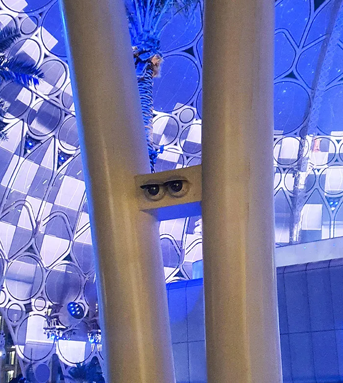 These Cameras Look Like A Pair Of Eyes