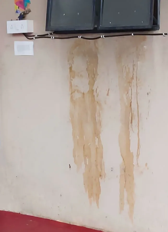 Water Stain On A Wall That Looks Like A Pirate With A Long Beard