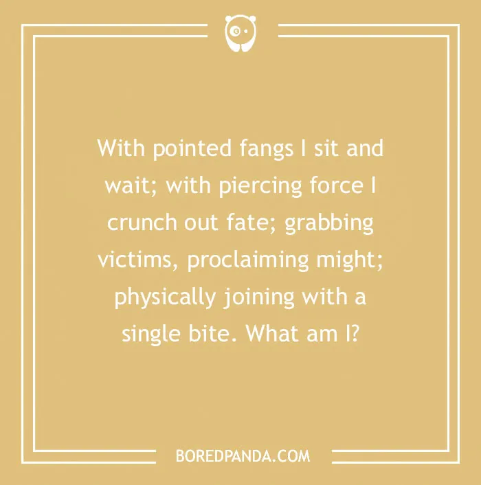 Funny Riddles With Answers To Tickle Your Brain