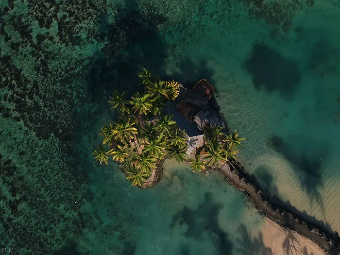 Photo of island and palms