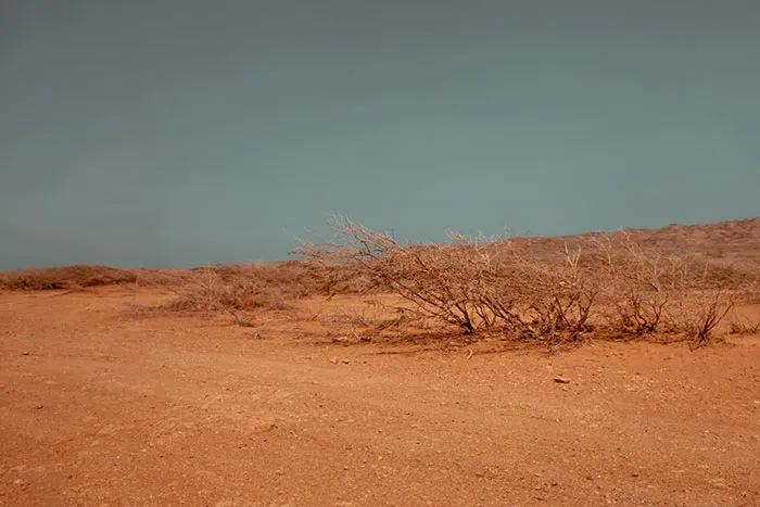 Brown Desert Sand