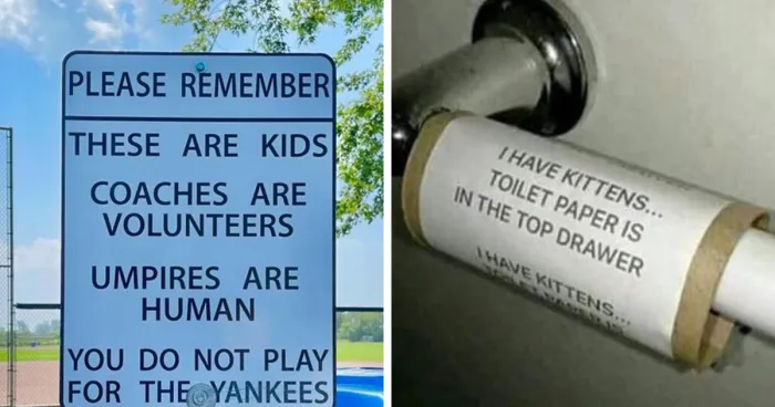 48 Chaotically Funny Signs That People Have Discovered In The Wild