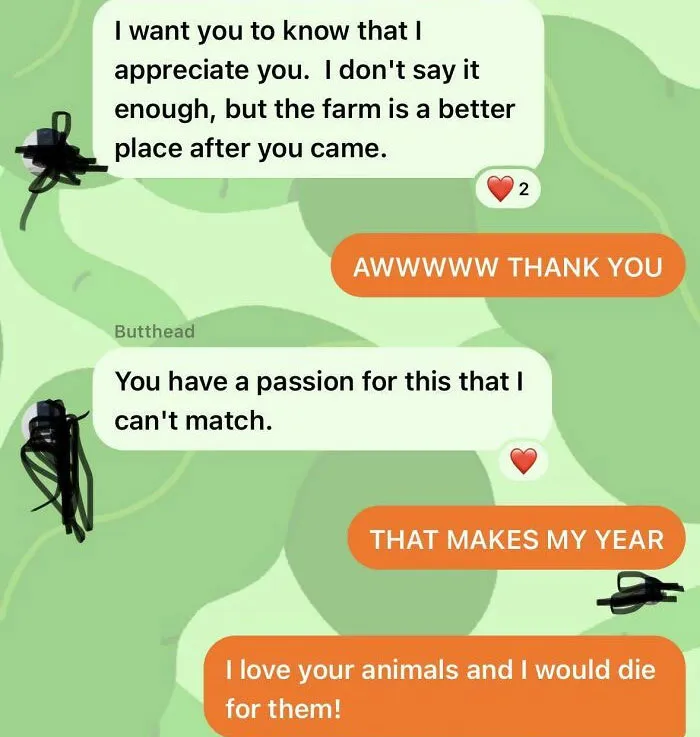 Getting Positive Feedback From My Boss Validates Years Of Hard Work. Kindness And Appreciation Allow One To Achieve Even More