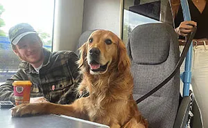 This Adorable Golden Retriever Dog Enjoys Making New Friends On Train Rides