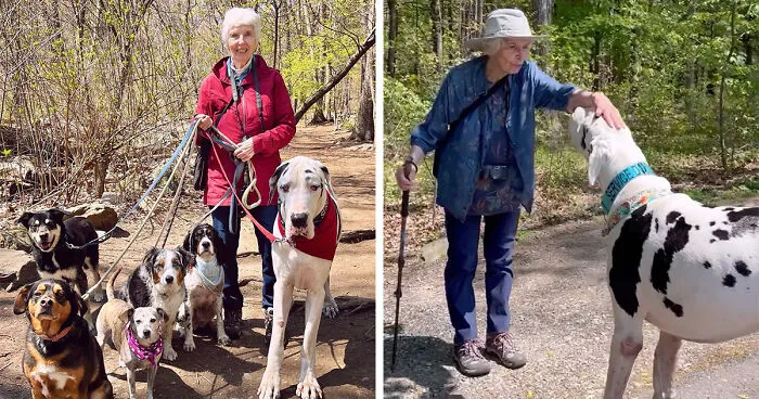 Great Dane Meets Elderly Woman On A Hike, Decides She’s His Grandma Now