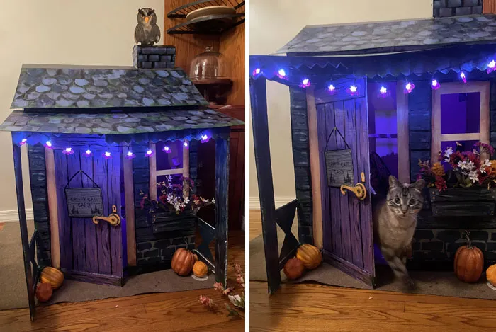 Decided To Make My Cat’s Their Own Haunted Cabin This Year