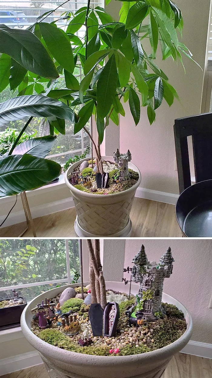 My Mom Makes Little Fairy Gardens In The Pot Of Her Money Tree. Here Is Her Halloween Scene